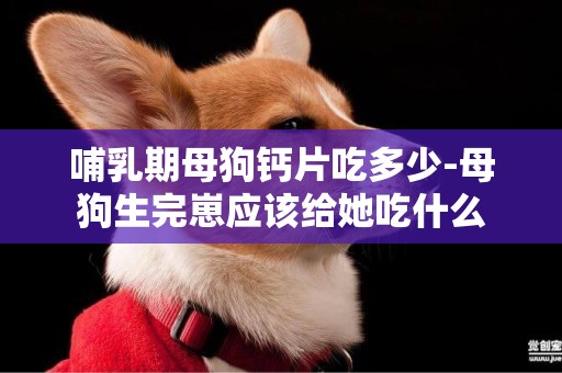 哺乳期母狗鈣片吃多少-母狗生完崽應該給她吃什么