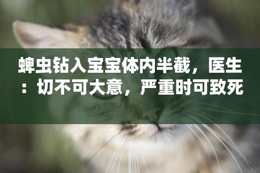蜱蟲鉆入寶寶體內半截，醫生：切不可大意，嚴重時可致死 