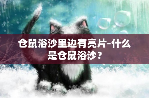 倉鼠浴沙里邊有亮片-什么是倉鼠浴沙？