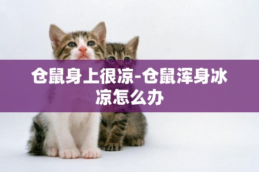 倉鼠身上很涼-倉鼠渾身冰涼怎么辦