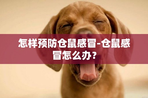 怎樣預防倉鼠感冒-倉鼠感冒怎么辦？