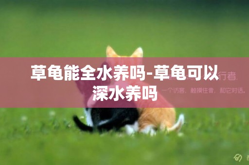 草龜能全水養嗎-草龜可以深水養嗎