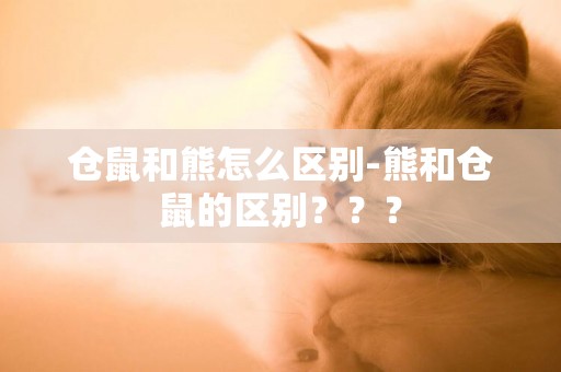倉鼠和熊怎么區別-熊和倉鼠的區別？？？