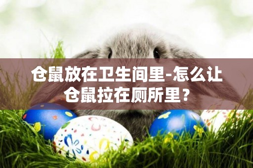 倉鼠放在衛生間里-怎么讓倉鼠拉在廁所里？