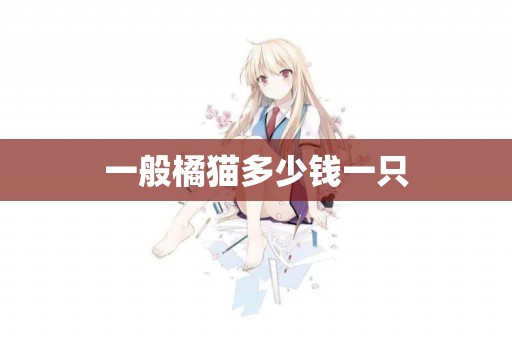 一般橘貓多少錢一只
