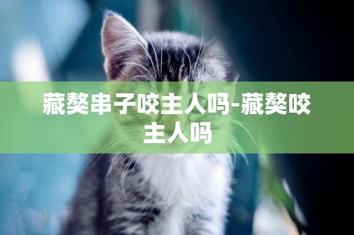 藏獒串子咬主人嗎-藏獒咬主人嗎