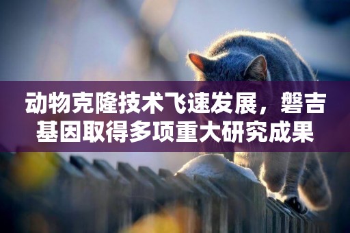 動物克隆技術飛速發展,磐吉基因取得多項重大研究成果 動物克隆技術飛速發展,磐吉基因取得多項重大研究成果