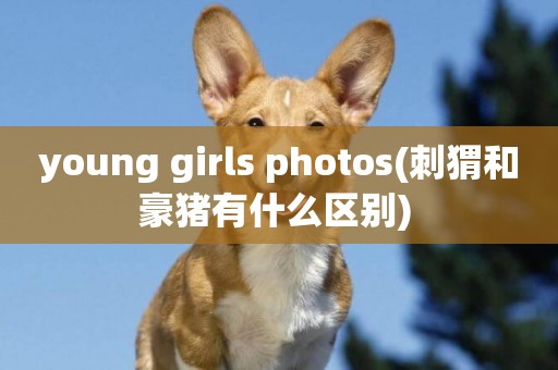 young girls photos(刺猬和豪豬有什么區別) 
