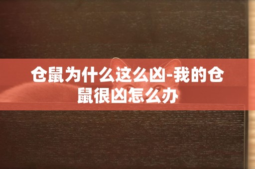 倉鼠為什么這么兇-我的倉鼠很兇怎么辦