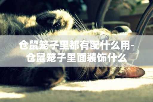 倉鼠籠子里都有配什么用-倉鼠籠子里面裝飾什么