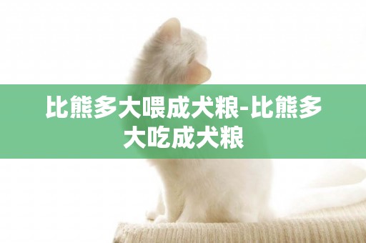 比熊多大喂成犬糧-比熊多大吃成犬糧