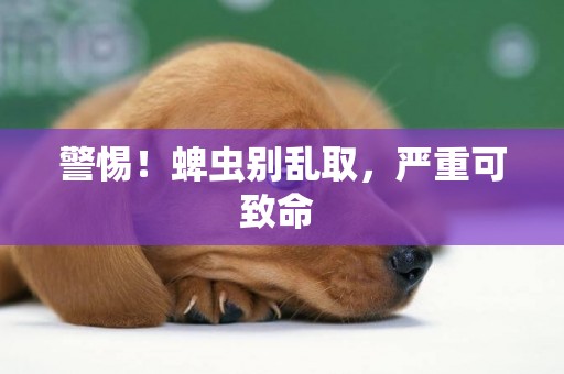 警惕！蜱蟲別亂取，嚴重可致命 