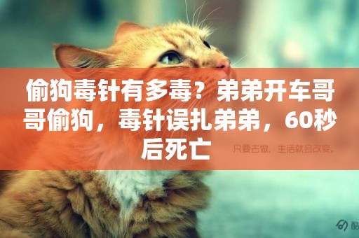 偷狗毒針有多毒？弟弟開車哥哥偷狗，毒針誤扎弟弟，60秒后死亡 