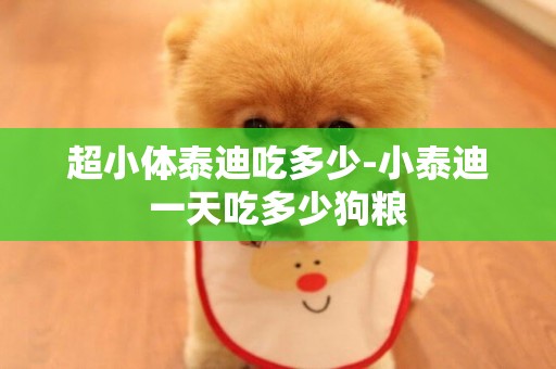 超小體泰迪吃多少-小泰迪一天吃多少狗糧
