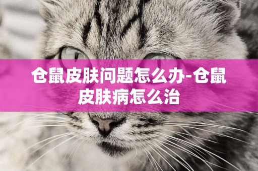 倉鼠皮膚問題怎么辦-倉鼠皮膚病怎么治