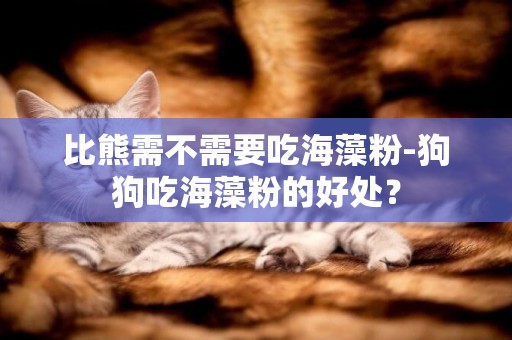 比熊需不需要吃海藻粉-狗狗吃海藻粉的好處？