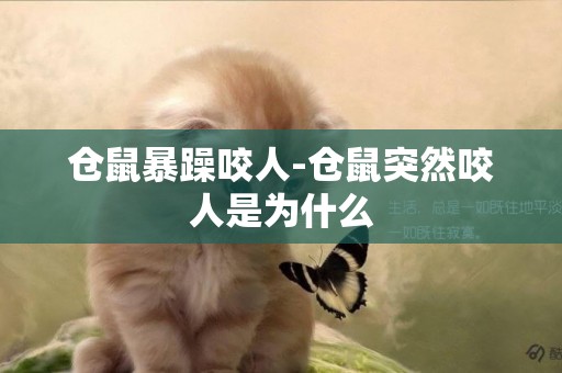 倉鼠暴躁咬人-倉鼠突然咬人是為什么