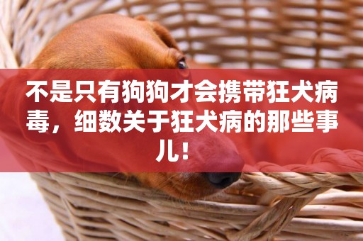不是只有狗狗才會攜帶狂犬病毒，細數關于狂犬病的那些事兒！ 