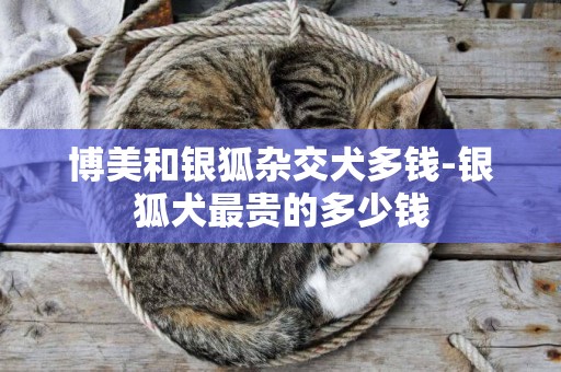 博美和銀狐雜交犬多錢-銀狐犬最貴的多少錢