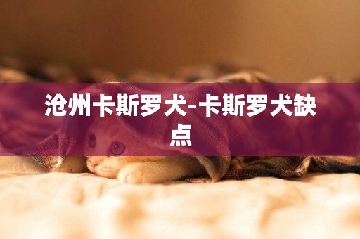 滄州卡斯羅犬-卡斯羅犬缺點