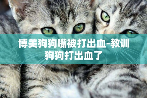 博美狗狗嘴被打出血-教訓狗狗打出血了