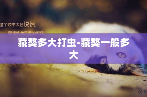 藏獒多大打蟲-藏獒一般多大