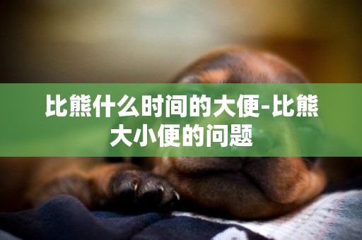 比熊什么時間的大便-比熊大小便的問題