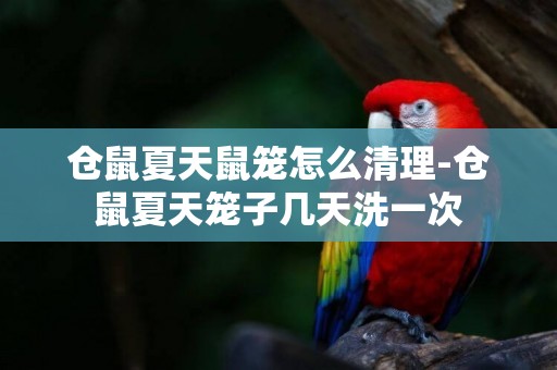 倉鼠夏天鼠籠怎么清理-倉鼠夏天籠子幾天洗一次