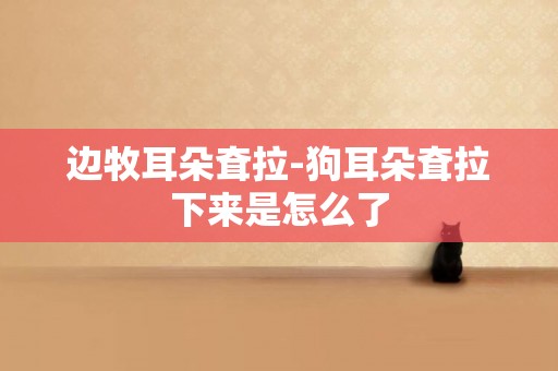 邊牧耳朵耷拉-狗耳朵耷拉下來是怎么了