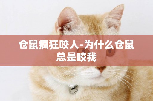 倉鼠瘋狂咬人-為什么倉鼠總是咬我