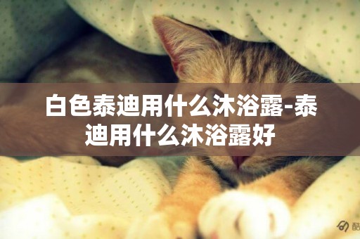 白色泰迪用什么沐浴露-泰迪用什么沐浴露好