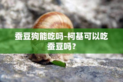 蠶豆狗能吃嗎-柯基可以吃蠶豆嗎？