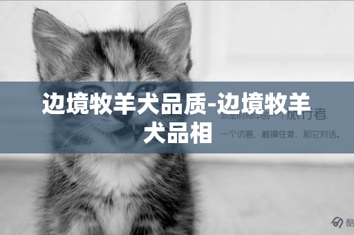 邊境牧羊犬品質-邊境牧羊犬品相