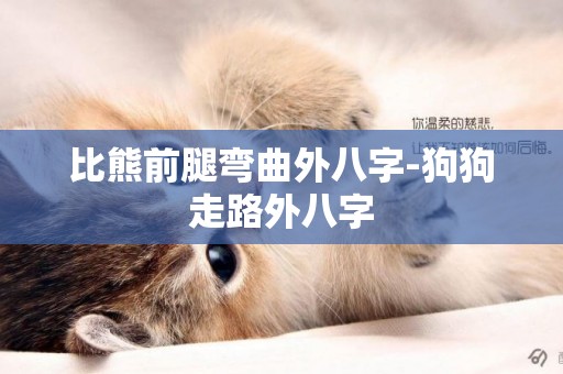 比熊前腿彎曲外八字-狗狗走路外八字