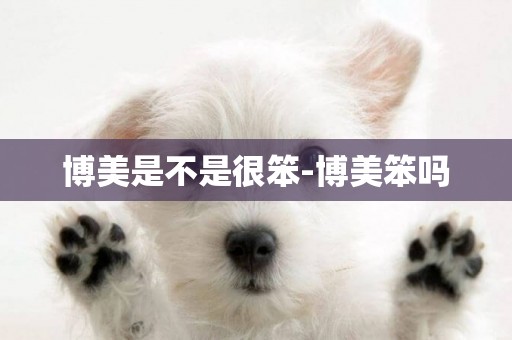 博美是不是很笨-博美笨嗎