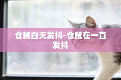 倉鼠白天發抖-倉鼠在一直發抖