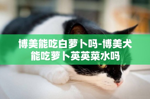 博美能吃白蘿卜嗎-博美犬能吃蘿卜英英菜水嗎