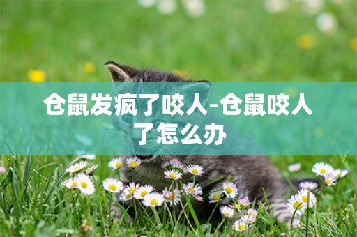 倉鼠發瘋了咬人-倉鼠咬人了怎么辦