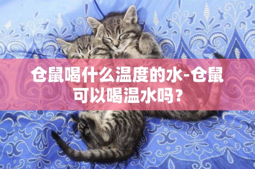 倉鼠喝什么溫度的水-倉鼠可以喝溫水嗎？