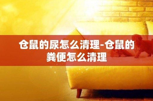 倉鼠的尿怎么清理-倉鼠的糞便怎么清理