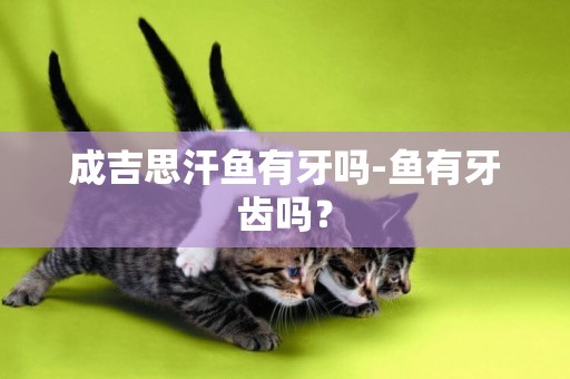 成吉思汗魚有牙嗎-魚有牙齒嗎？