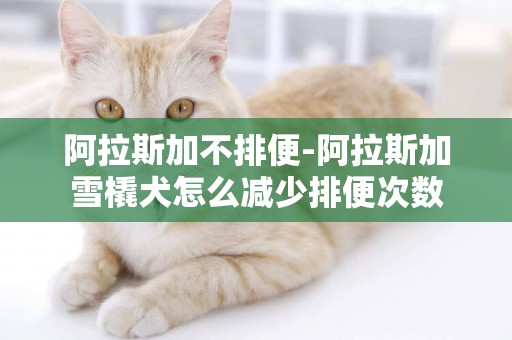 阿拉斯加不排便-阿拉斯加雪橇犬怎么減少排便次數