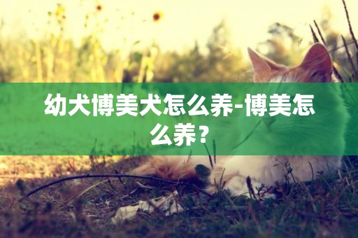 幼犬博美犬怎么養-博美怎么養？