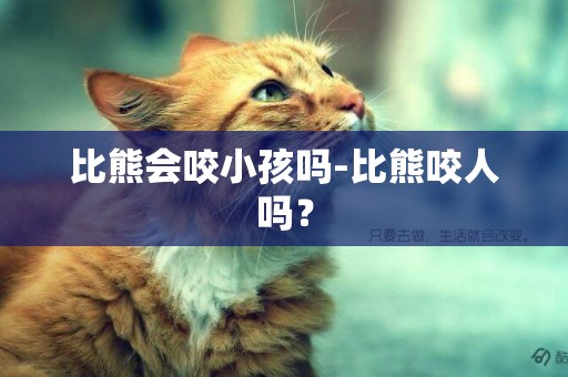比熊會咬小孩嗎-比熊咬人嗎？