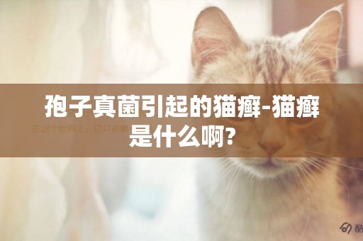 孢子真菌引起的貓癬-貓癬是什么啊?