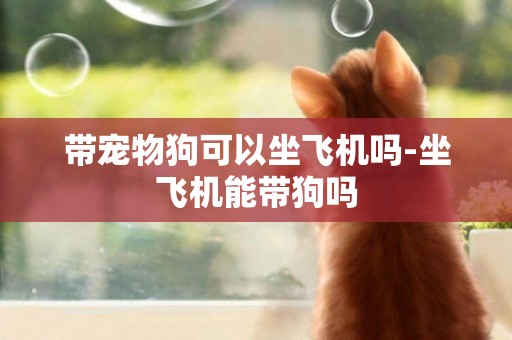 帶寵物狗可以坐飛機嗎-坐飛機能帶狗嗎