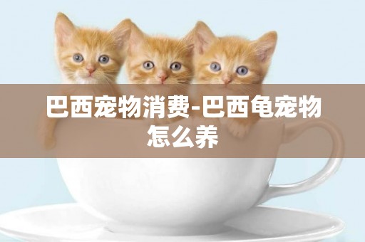 巴西寵物消費-巴西龜寵物怎么養