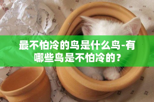 最不怕冷的鳥是什么鳥-有哪些鳥是不怕冷的？