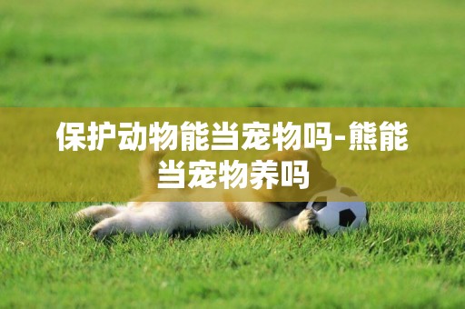 保護動物能當寵物嗎-熊能當寵物養嗎