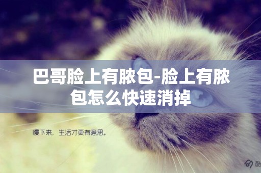 巴哥臉上有膿包-臉上有膿包怎么快速消掉